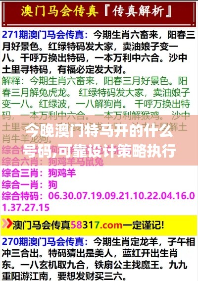 今晚澳门特马开的什么号码,可靠设计策略执行_投资版57.410-8