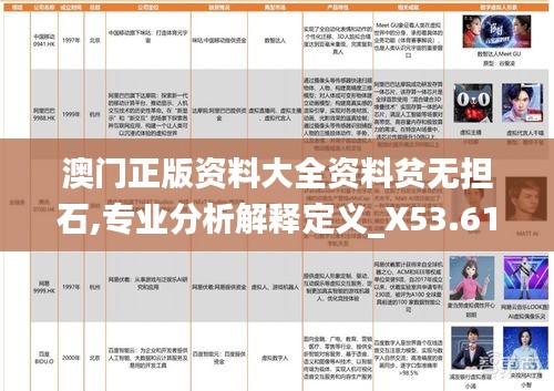 澳门正版资料大全资料贫无担石,专业分析解释定义_X53.619-3