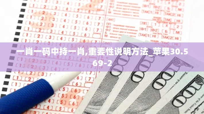 一肖一码中持一肖,重要性说明方法_苹果30.569-2