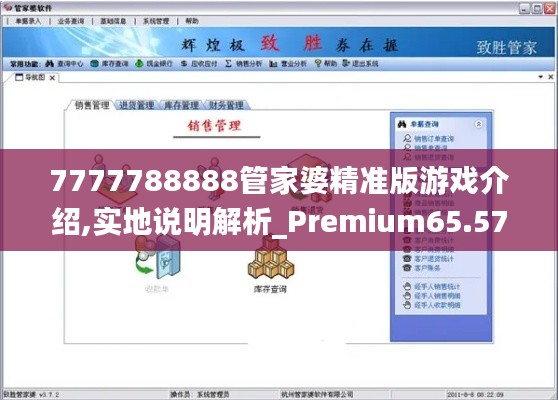 7777788888管家婆精准版游戏介绍,实地说明解析_Premium65.574-6