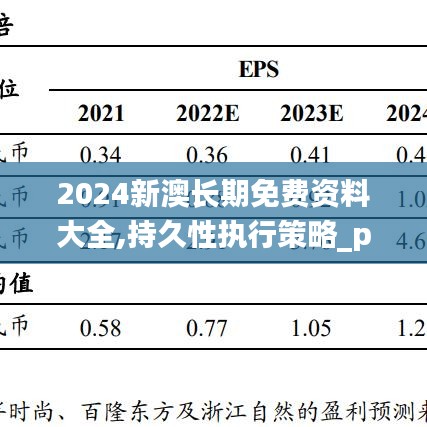 2024新澳长期免费资料大全,持久性执行策略_pack55.105-2