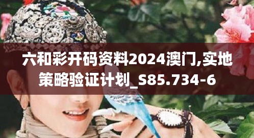 六和彩开码资料2024澳门,实地策略验证计划_S85.734-6