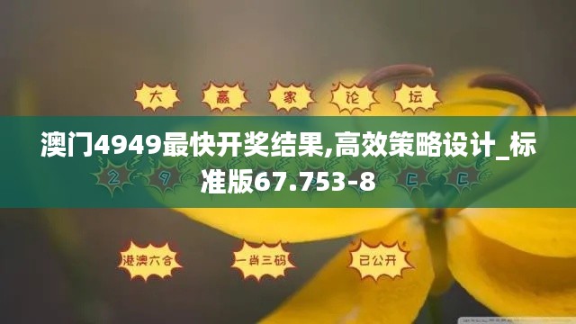 澳门4949最快开奖结果,高效策略设计_标准版67.753-8
