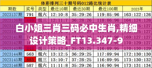 白小姐三肖三码必中生肖,精细设计策略_FT13.347-9