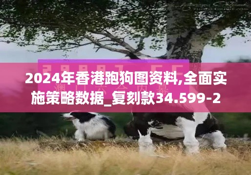 2024年香港跑狗图资料,全面实施策略数据_复刻款34.599-2