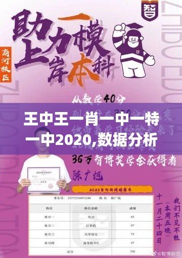 王中王一肖一中一特一中2020,数据分析决策_进阶版61.909-6