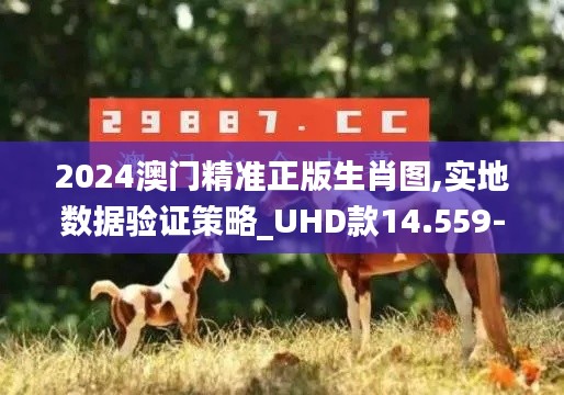 2024澳门精准正版生肖图,实地数据验证策略_UHD款14.559-8