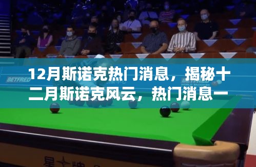 揭秘十二月斯诺克风云，热门消息一网打尽