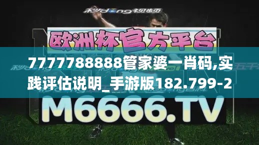 7777788888管家婆一肖码,实践评估说明_手游版182.799-2