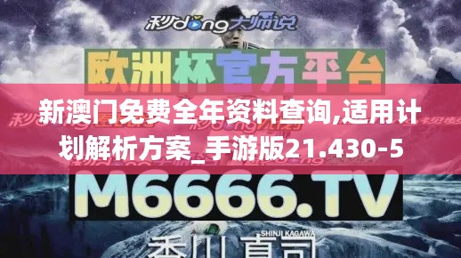 新澳门免费全年资料查询,适用计划解析方案_手游版21.430-5