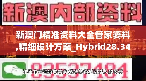 新澳门精准资料大全管家婆料,精细设计方案_Hybrid28.343-5
