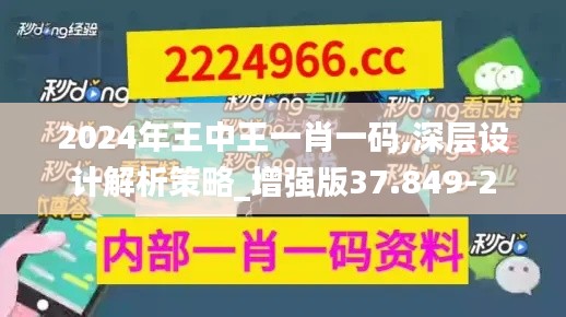 2024年王中王一肖一码,深层设计解析策略_增强版37.849-2