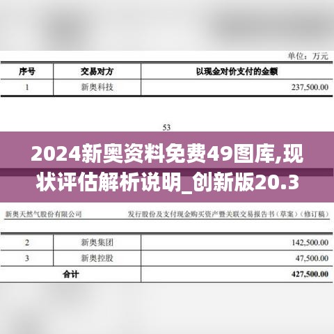 2024新奥资料免费49图库,现状评估解析说明_创新版20.309-2