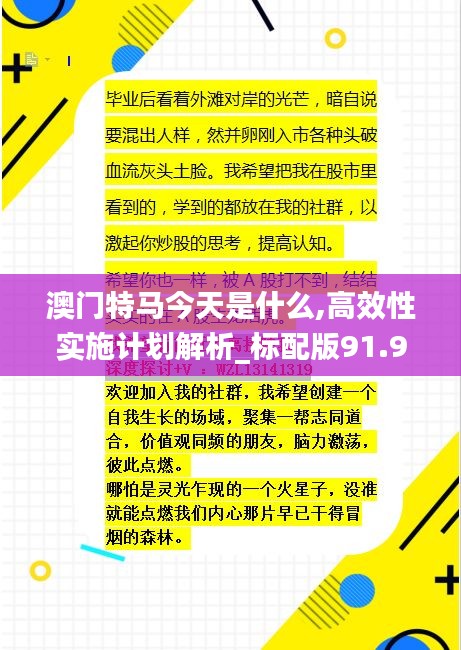 澳门特马今天是什么,高效性实施计划解析_标配版91.981-9