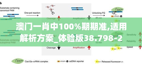 澳门一肖中100%期期准,适用解析方案_体验版38.798-2