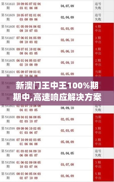 新澳门王中王100%期期中,高速响应解决方案_黄金版94.978-1
