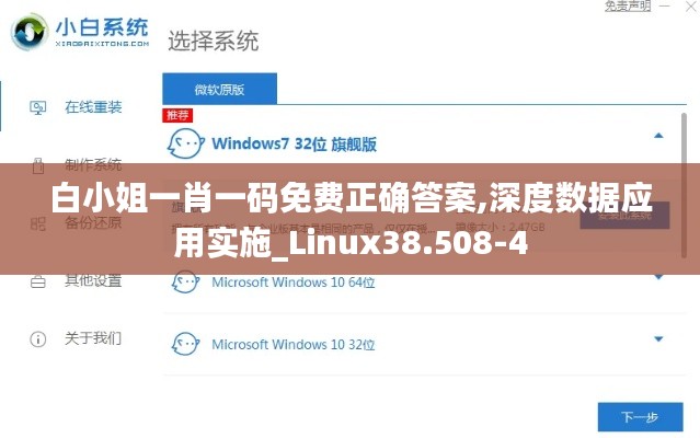 白小姐一肖一码免费正确答案,深度数据应用实施_Linux38.508-4