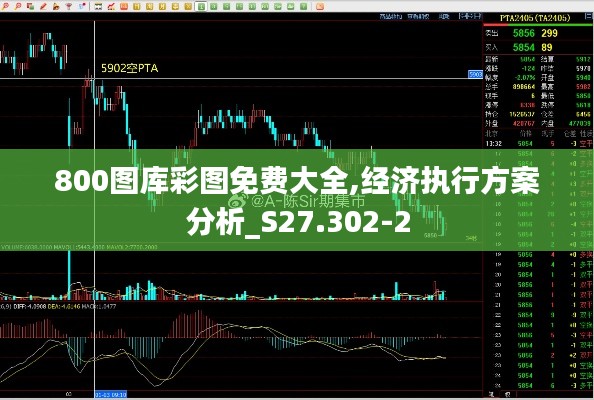 800图库彩图免费大全,经济执行方案分析_S27.302-2