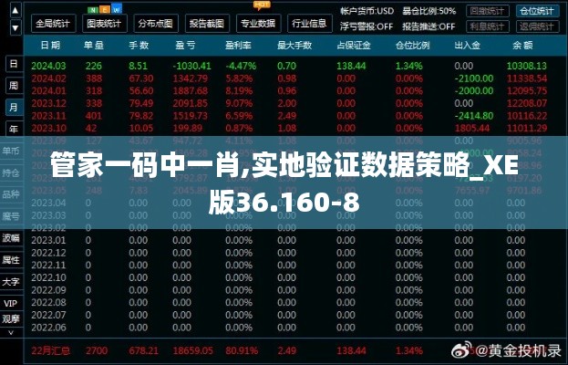 管家一码中一肖,实地验证数据策略_XE版36.160-8