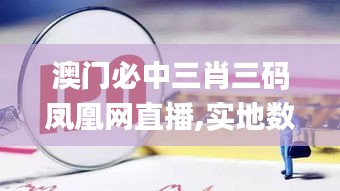 澳门必中三肖三码凤凰网直播,实地数据评估策略_Hybrid83.463-3