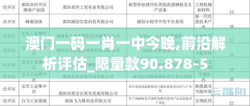 澳门一码一肖一中今晚,前沿解析评估_限量款90.878-5