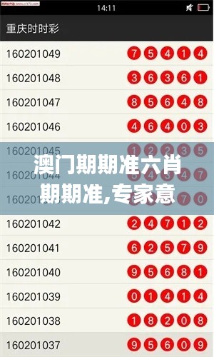 澳门期期准六肖期期准,专家意见解释定义_Superior68.815-1