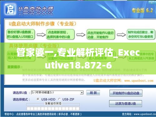 管家婆一,专业解析评估_Executive18.872-6