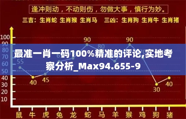 最准一肖一码100%精准的评论,实地考察分析_Max94.655-9