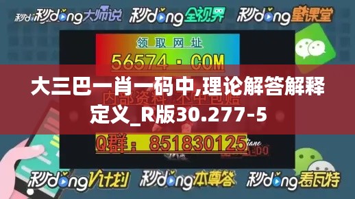 大三巴一肖一码中,理论解答解释定义_R版30.277-5