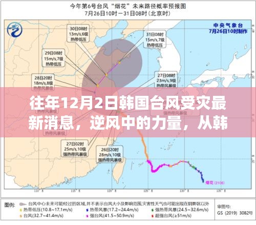 韩国台风受灾最新动态，逆风中的力量与学习成长魅力探索