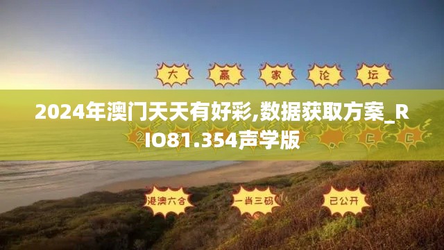 2024年澳门天天有好彩,数据获取方案_RIO81.354声学版