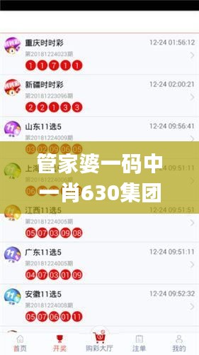 管家婆一码中一肖630集团,实践经验解释定义_专属款17.474-3