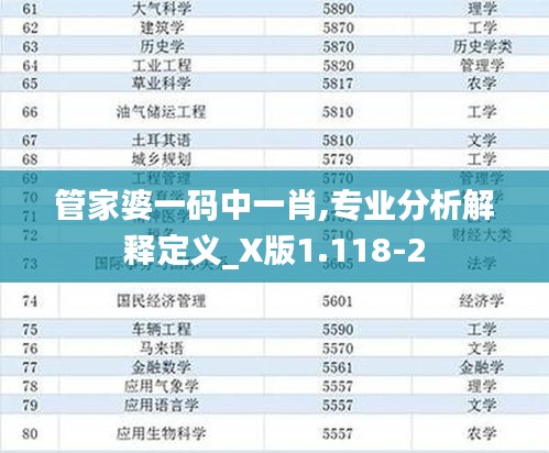 管家婆一码中一肖,专业分析解释定义_X版1.118-2