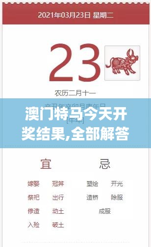 yichuruifei 第7页