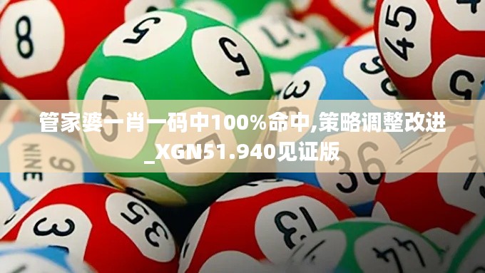 管家婆一肖一码中100%命中,策略调整改进_XGN51.940见证版