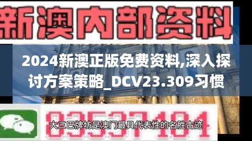 2024新澳正版免费资料,深入探讨方案策略_DCV23.309习惯版