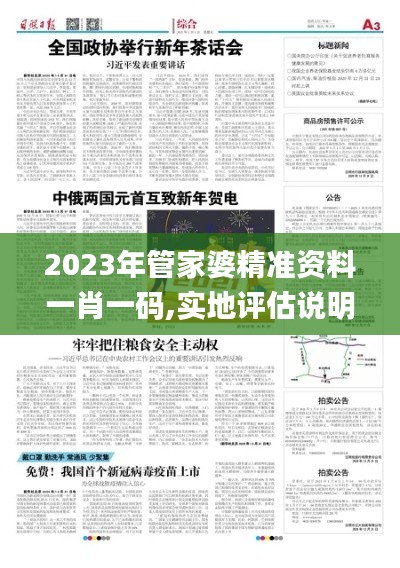 2023年管家婆精准资料一肖一码,实地评估说明_Elite86.372-1