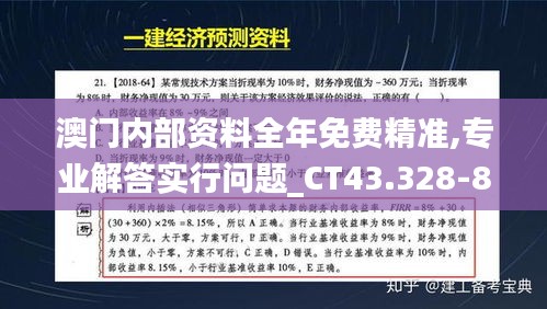 澳门内部资料全年免费精准,专业解答实行问题_CT43.328-8