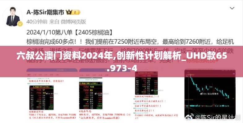 六叔公澳门资料2024年,创新性计划解析_UHD款65.973-4