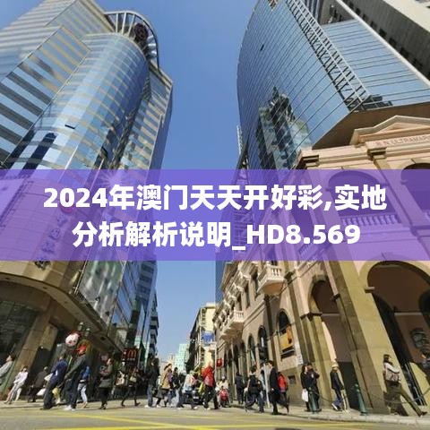 2024年澳门天天开好彩,实地分析解析说明_HD8.569