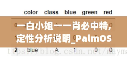 一白小姐一一肖必中特,定性分析说明_PalmOS2.855