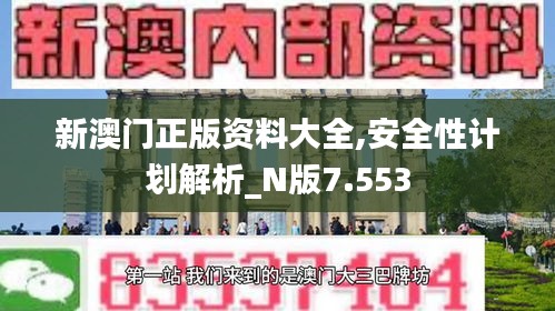 新澳门正版资料大全,安全性计划解析_N版7.553