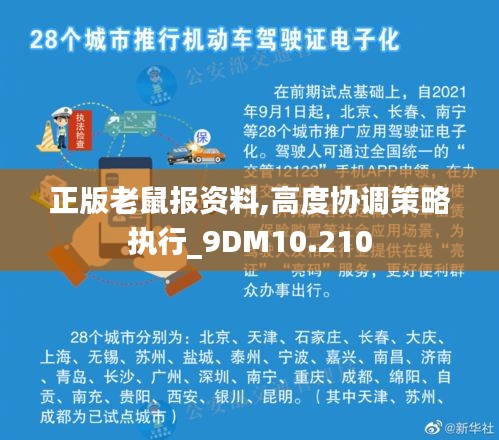 正版老鼠报资料,高度协调策略执行_9DM10.210