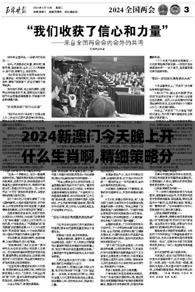 2024新澳门今天晚上开什么生肖啊,精细策略分析_3DM8.947