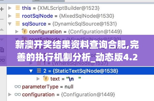 新澳开奖结果资料查询合肥,完善的执行机制分析_动态版4.254