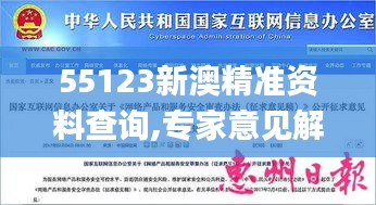 55123新澳精准资料查询,专家意见解释定义_扩展版1.745