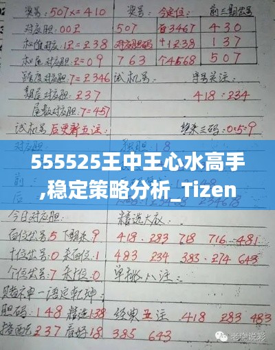555525王中王心水高手,稳定策略分析_Tizen11.355