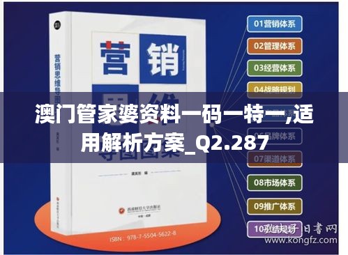 澳门管家婆资料一码一特一,适用解析方案_Q2.287