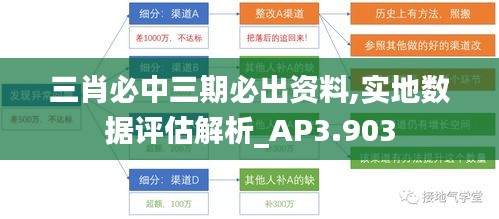 三肖必中三期必出资料,实地数据评估解析_AP3.903