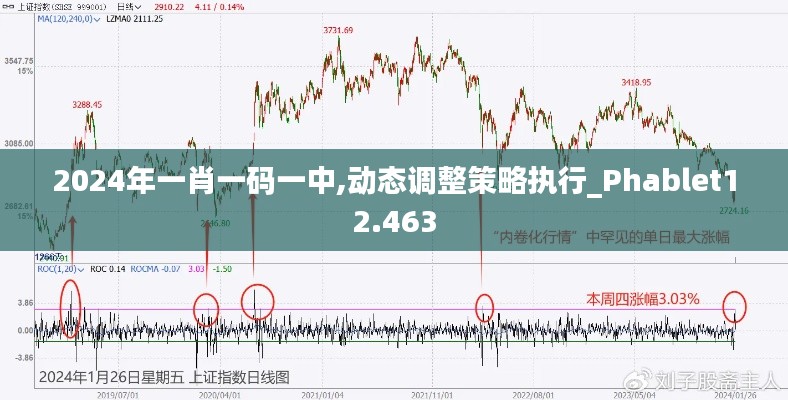 2024年一肖一码一中,动态调整策略执行_Phablet12.463